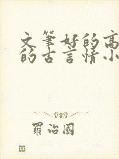 文笔好的高质量的古言情小说推荐