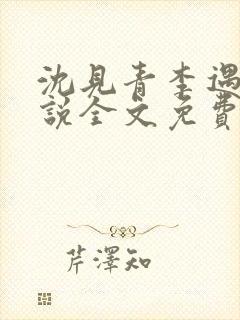 沈见青李遇泽小说全文免费阅读