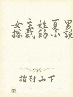 女主姓夏男主是总裁的小说