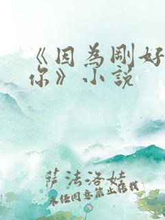 《因为刚好遇见你》小说