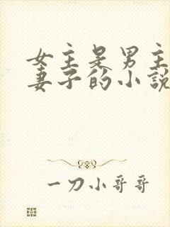 女主是男主下属妻子的小说