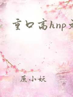重口高hnp文