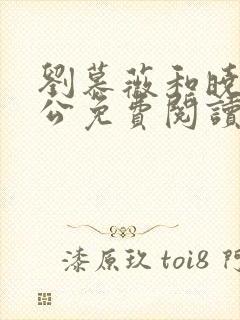 刘慕薇和晓婉老公免费阅读小说