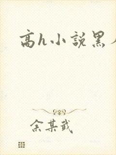 高h小说黑人