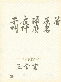 子夜归原著小说叫什么名