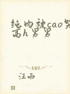 纯肉被cao哭高h男男