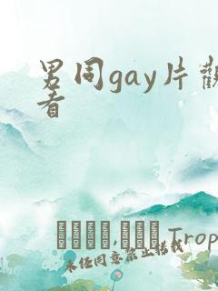男同gay片观看