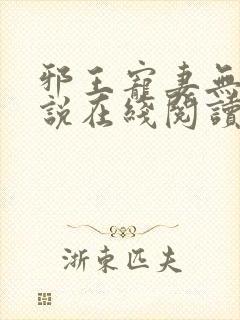 邪王宠妻无度小说在线阅读