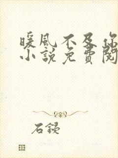 暖风不及你情深小说免费阅读全文无删减