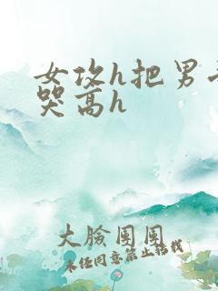 女攻h把男受弄哭高h