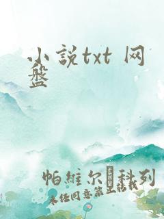 小说txt 网盘