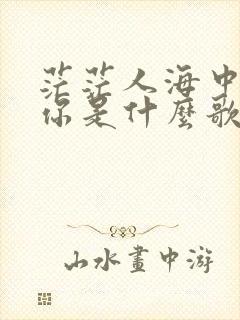 茫茫人海中遇见你是什么歌