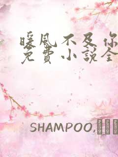 暖风不及你情深免费小说全本阅读全文