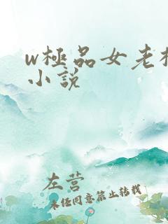 w极品女老板》小说