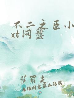 不二之臣小说txt网盘