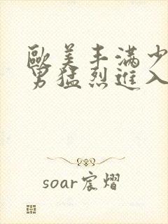 欧美丰满少妇猛男猛烈进入久久