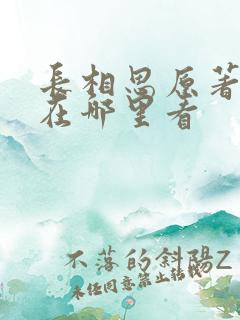 长相思原著小说在哪里看