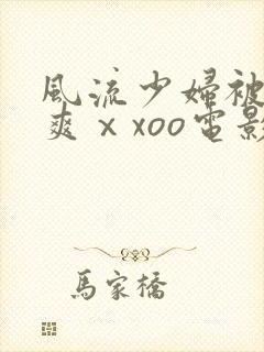 风流少妇被粗大爽ⅹxoo电影