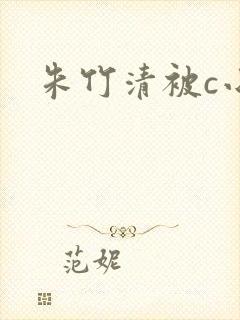 朱竹清被c小说