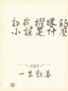 许我耀眼的原著小说是什么