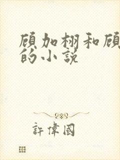 顾加栩和顾加傅的小说