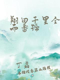 翔田千里全部封面番号