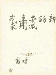 我妻子的新妈妈未删减