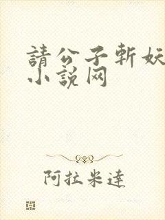 请公子斩妖无错小说网