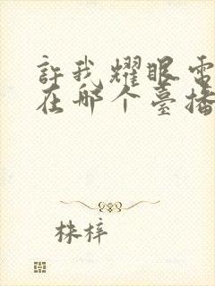 许我耀眼电视剧在哪个台播出