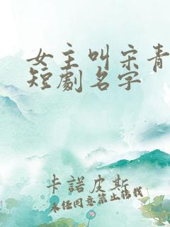 女主叫宋青梨的短剧名字