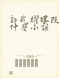 许我耀眼改编自什么小说