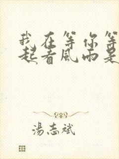 我在等你等你一起看风雨是什么歌