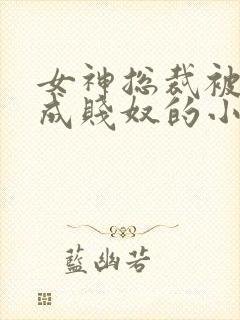 女神总裁被调教成贱奴的小说