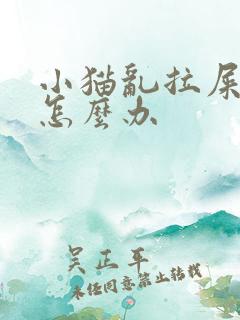 小猫乱拉屎拉尿怎么办