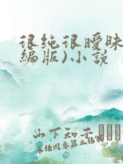 很纯很暧昧(改编版)小说