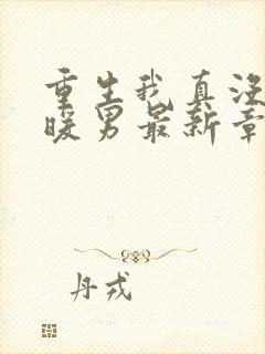 重生我真没想当暖男最新章节