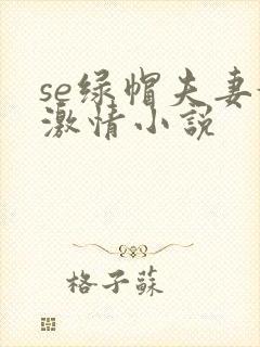 se绿帽夫妻奴激情小说