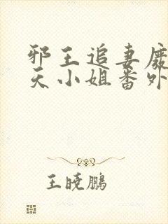 邪王追妻废材逆天小姐番外篇