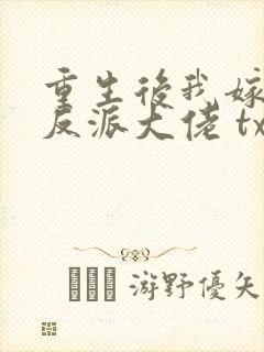 重生后我嫁给了反派大佬 txt