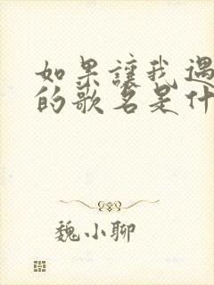 如果让我遇见你的歌名是什么