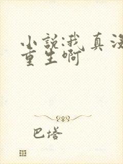 小说:我真没想重生啊