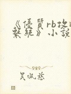 《优质rb攻略系统》小说