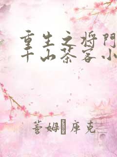 重生之将门毒后千山茶客小说全集