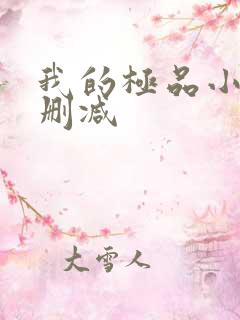 我的极品小姨未删减