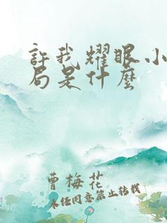 许我耀眼小说结局是什么