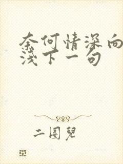 奈何情深向来缘浅下一句