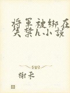 将军被绑在床震失禁h小说