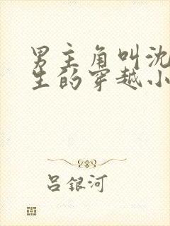 男主角叫沈浪医生的穿越小说