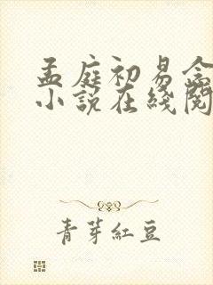 孟庭初易念薇的小说在线阅读