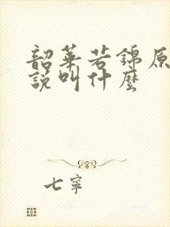 韶华若锦原著小说叫什么